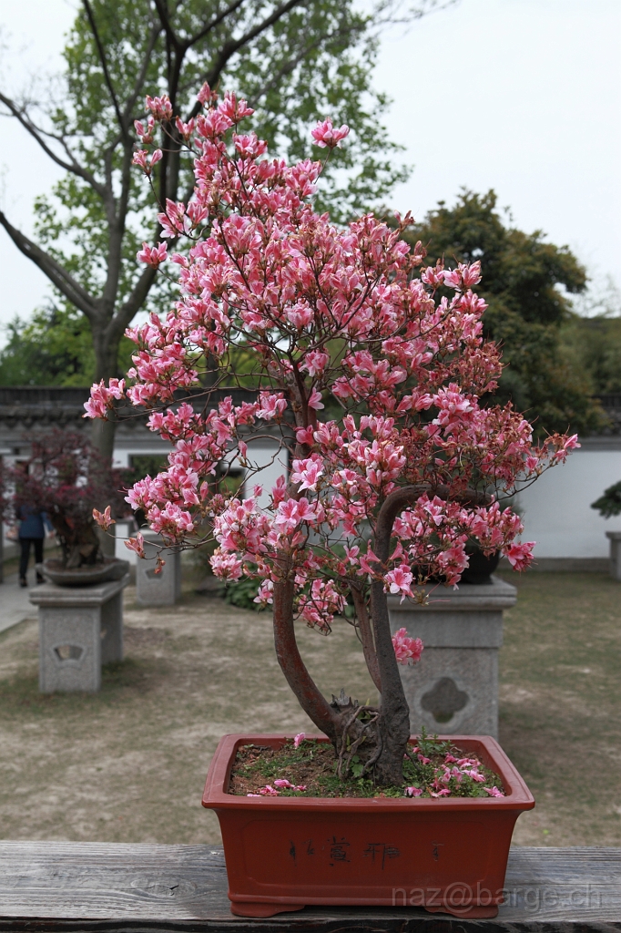 EOS 5D Mark II19_04_20135726.JPG